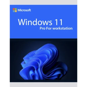 windows-11-pro-For-workstation