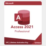 Microsoft Access 2021 Professional - Lifetime License Key