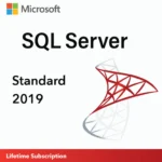 Microsoft SQL Server 2019 Standard - License Key