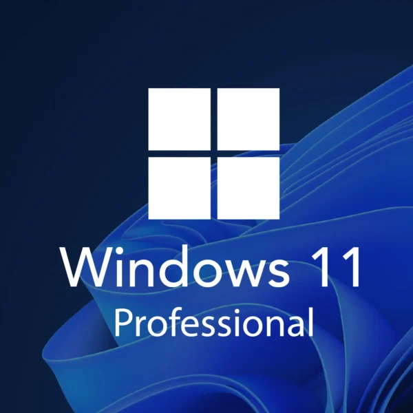 Windows 11 Professional