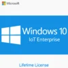 Microsoft Windows 10 IoT Enterprise - License Key For 1PC