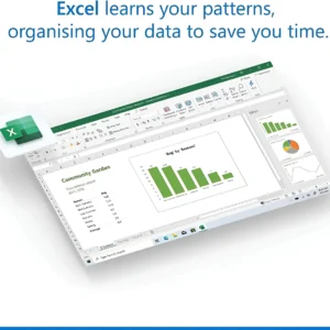 Microsoft Excel 2024