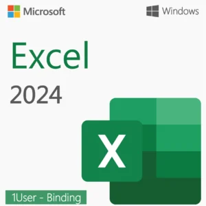 Excel 2024