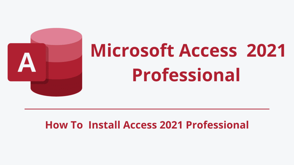 Microsoft Access 2021 Professional