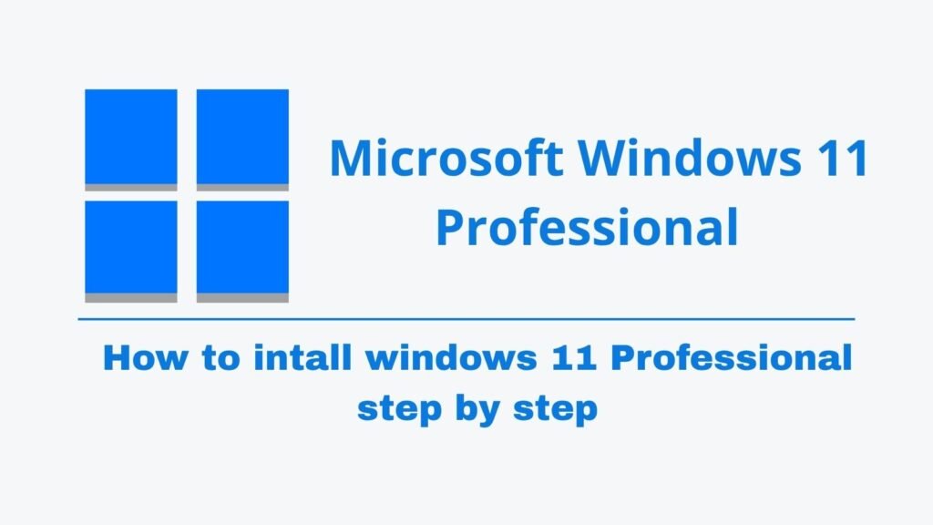 Windows 11 Professional