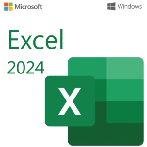 Microsoft Excel 2024 Professional