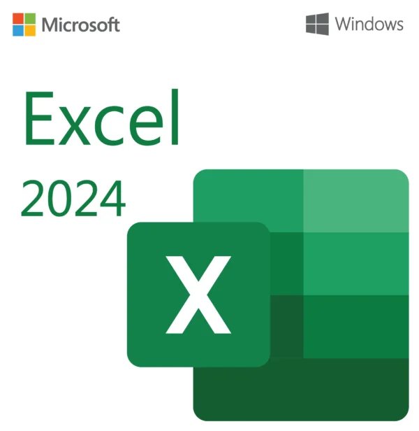 Microsoft Excel 2024 Professional