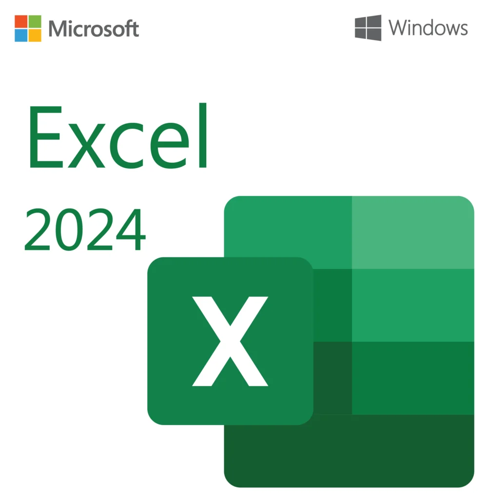 Microsoft Excel 2024 Professional