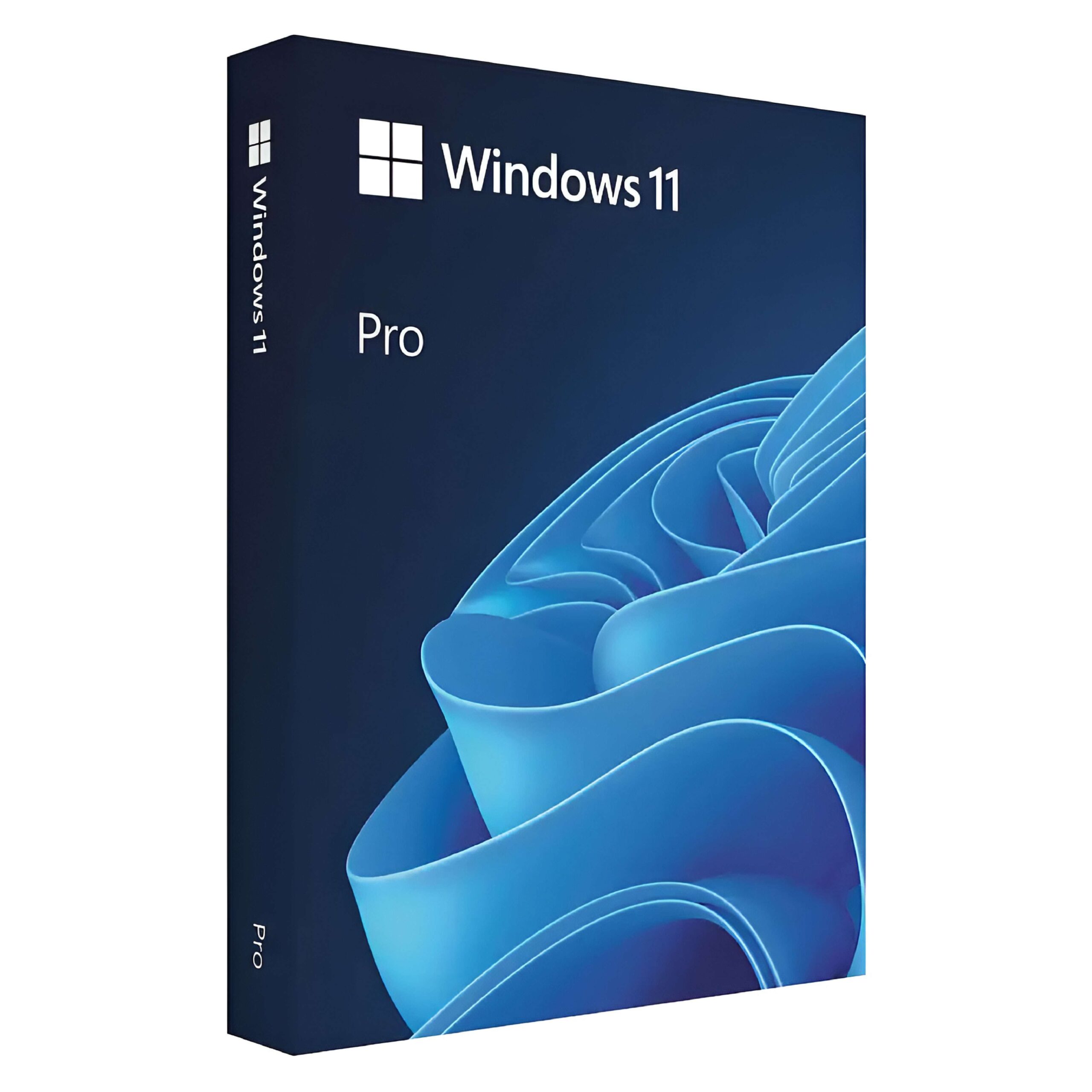 Windows 11 Pro