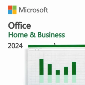 Microsoft Office 2024 Home and Business