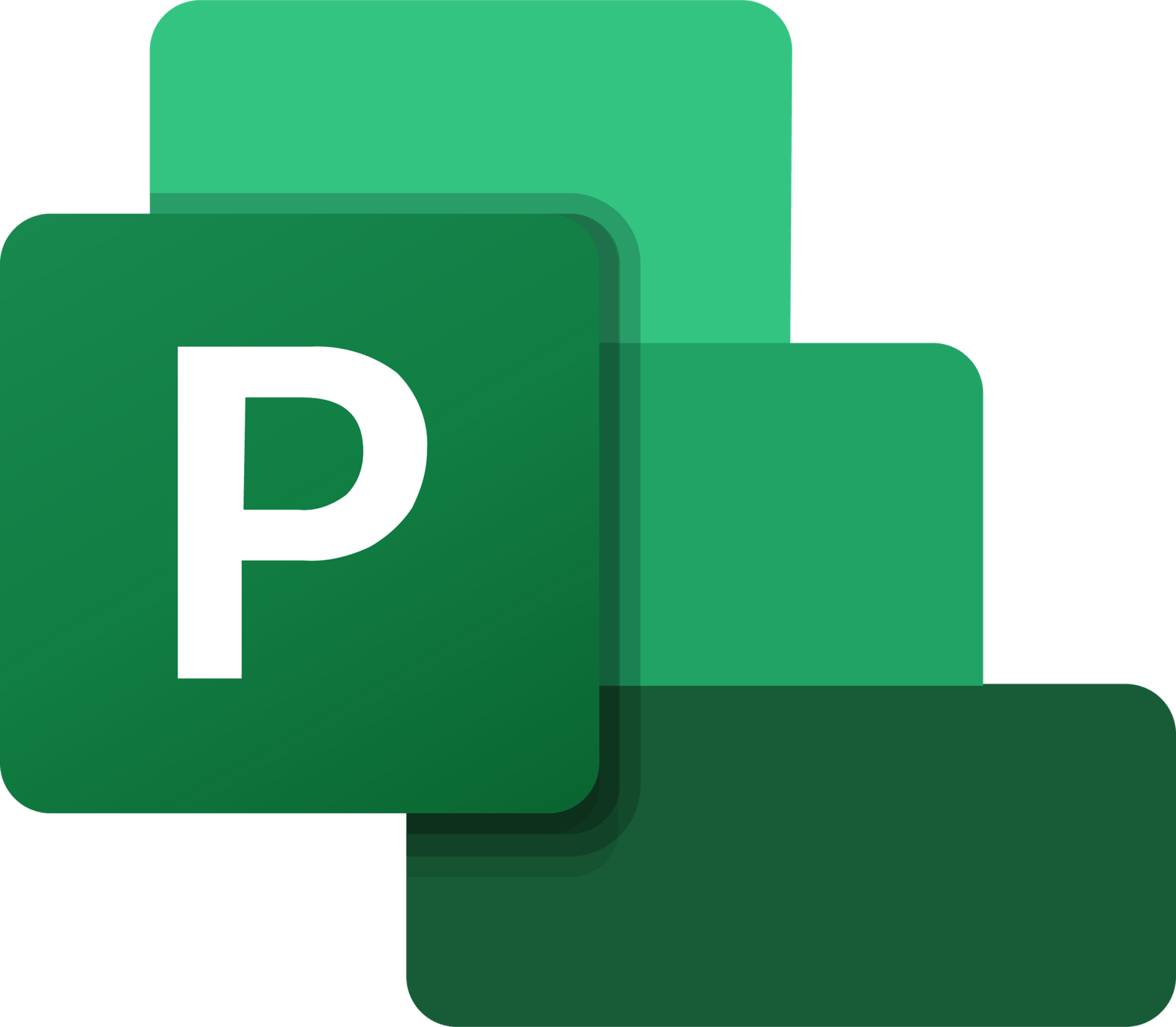 Microsoft Project 2024 icon