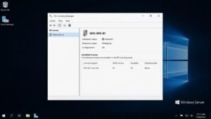 Remote Desktop Licensing Manager showing an activated licence server with installed RDS CAL packs