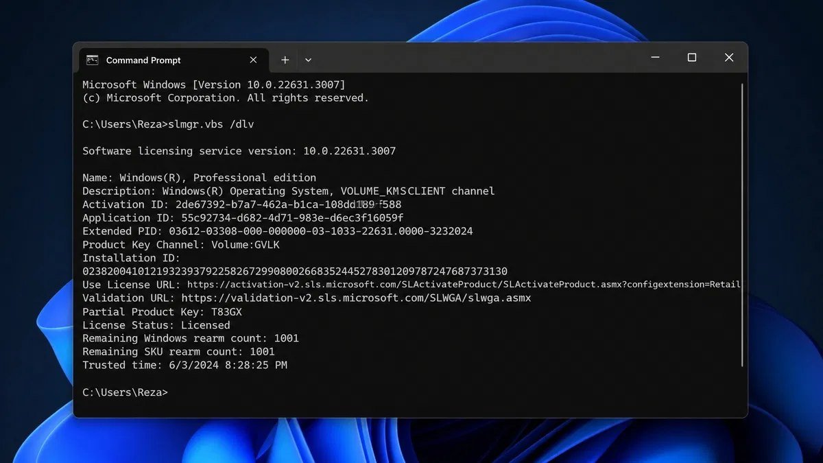 Windows 11 Command Prompt showing slmgr vbs dlv output with licence description, activation ID and licence status for a volume licensed installation